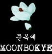 moonbokye