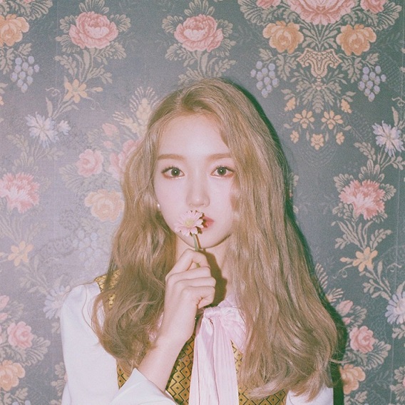 소리고원 이미지